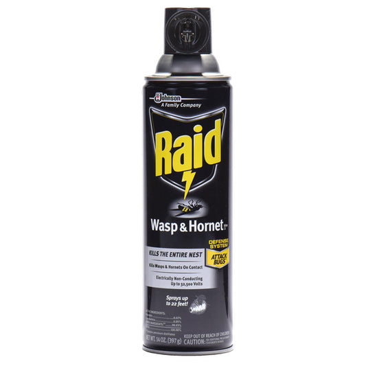 Raid Wasp & Hornet 17.5oz