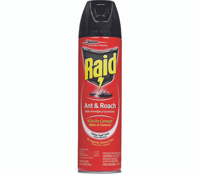 Raid Ant & Roach Killer Outdoor Fresh Scent 17.5oz