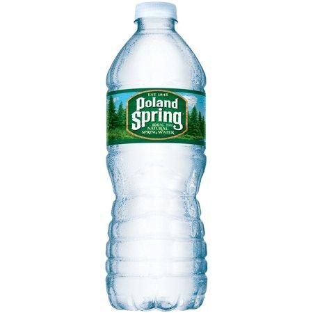 Poland Spring 16.9oz