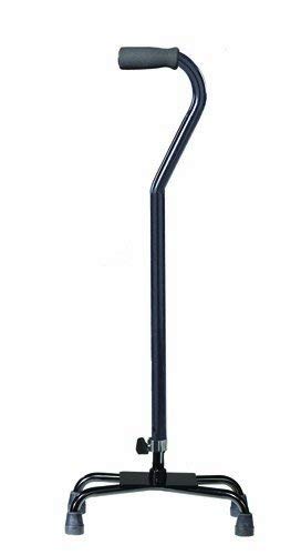 Cane Eqip 1ea Black