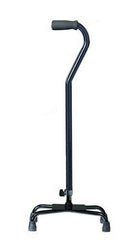 Cane Eqip 1ea Black