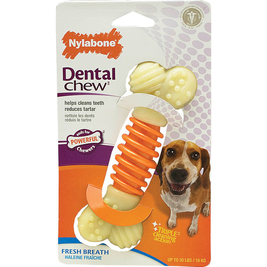 Nylabone Medium Dental Dog Chew Bone Bacon Flavor 1ct