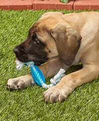 Multipet Canine Clean Rope w/ TPR- Peppermint