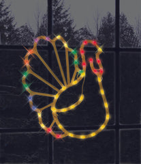 Lighted Turkey