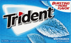 Trident Wintergreen Sugarfree Gum 14sticks