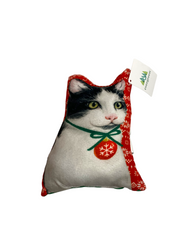 Holiday Dog/Cats Mini Pillows 1ct