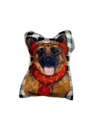 Holiday Dog/Cats Mini Pillows 1ct