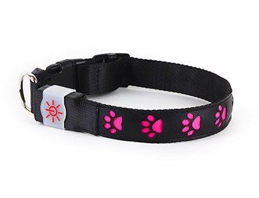NIGHT SCOUT DOG COLLAR ILLUMINATING USB RECHARGEABLE PINK