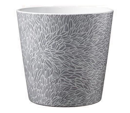 Dallas Botanic Ceramic Pot Assorted Colors