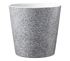 Dallas Botanic Ceramic Pot Assorted Colors