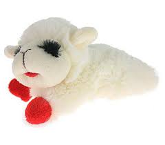 Lamb Chop Mini