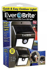 Ever Brite LED Light