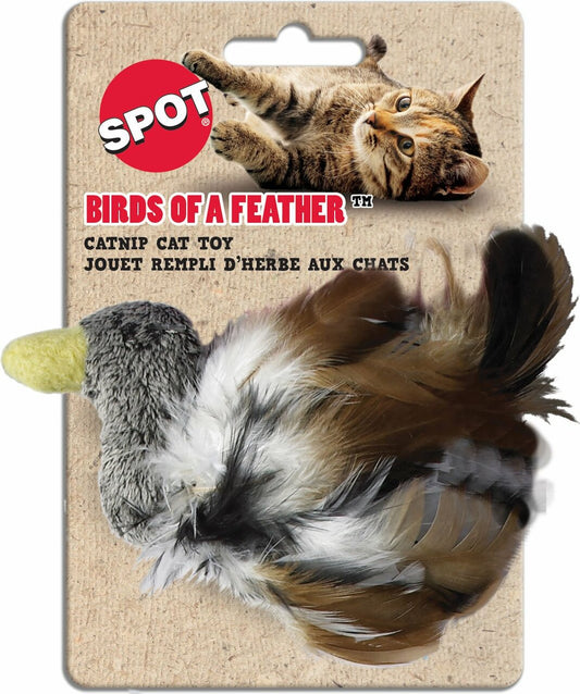 Spot Birds Of A Feather