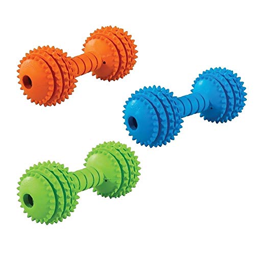 JW Chompion Dog Chew Toy Heavyweight Assorted